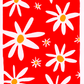 Red Daisies