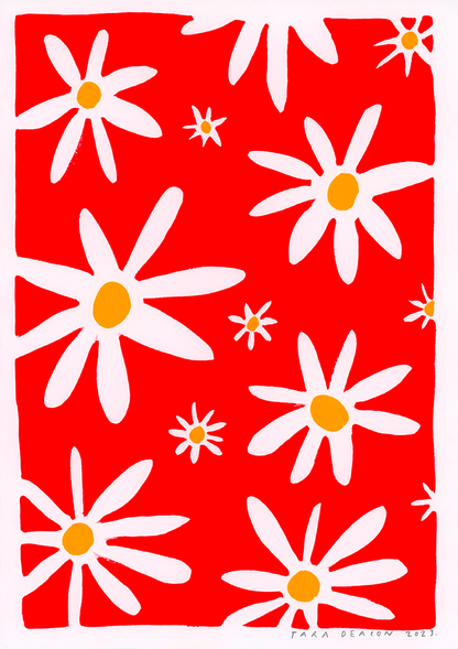 Red Daisies