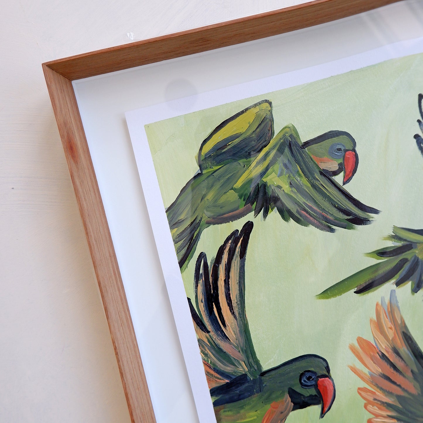 Ring-necked Parakeets in flight (framed)