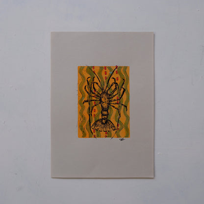 Crayfish (Framed)