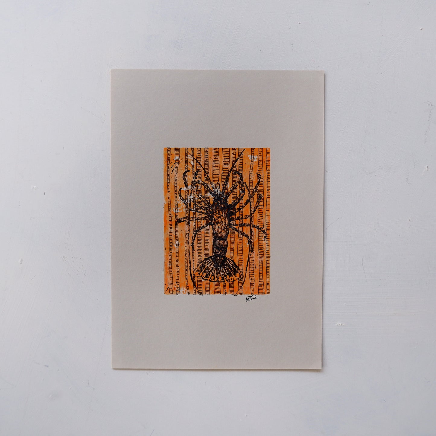 Crayfish, in the kelp (Framed)