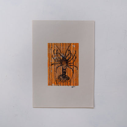 Crayfish, in the kelp (Framed)