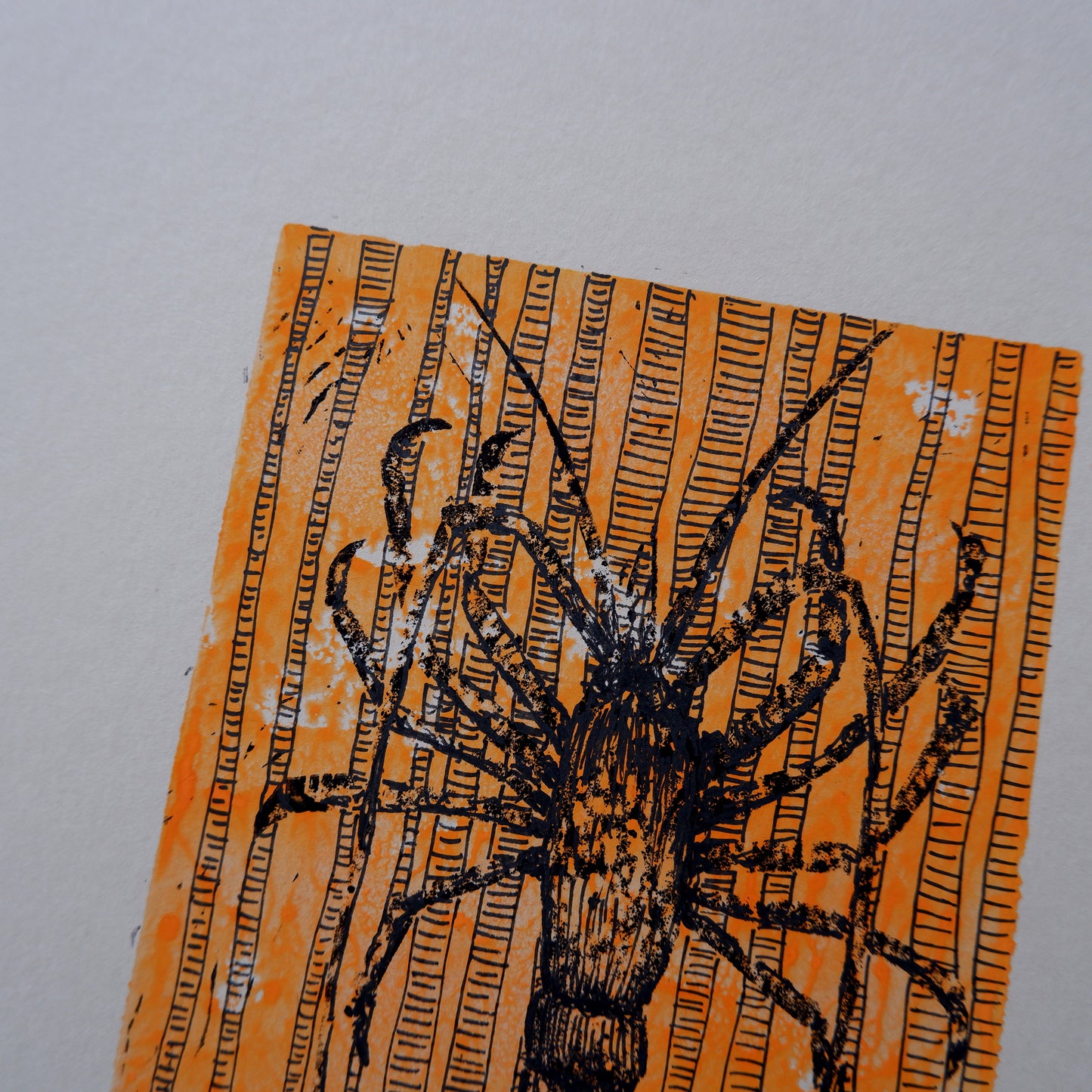 Crayfish, in the kelp (Framed)