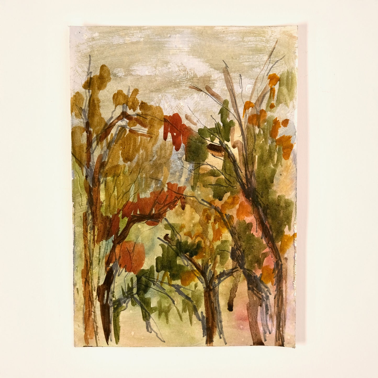 The Birks of Aberfeldy (Framed)