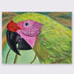 Tropical Green Parrot (framed)