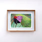 Tropical Green Parrot (framed)