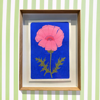 Pink Chrysanthemum (framed)