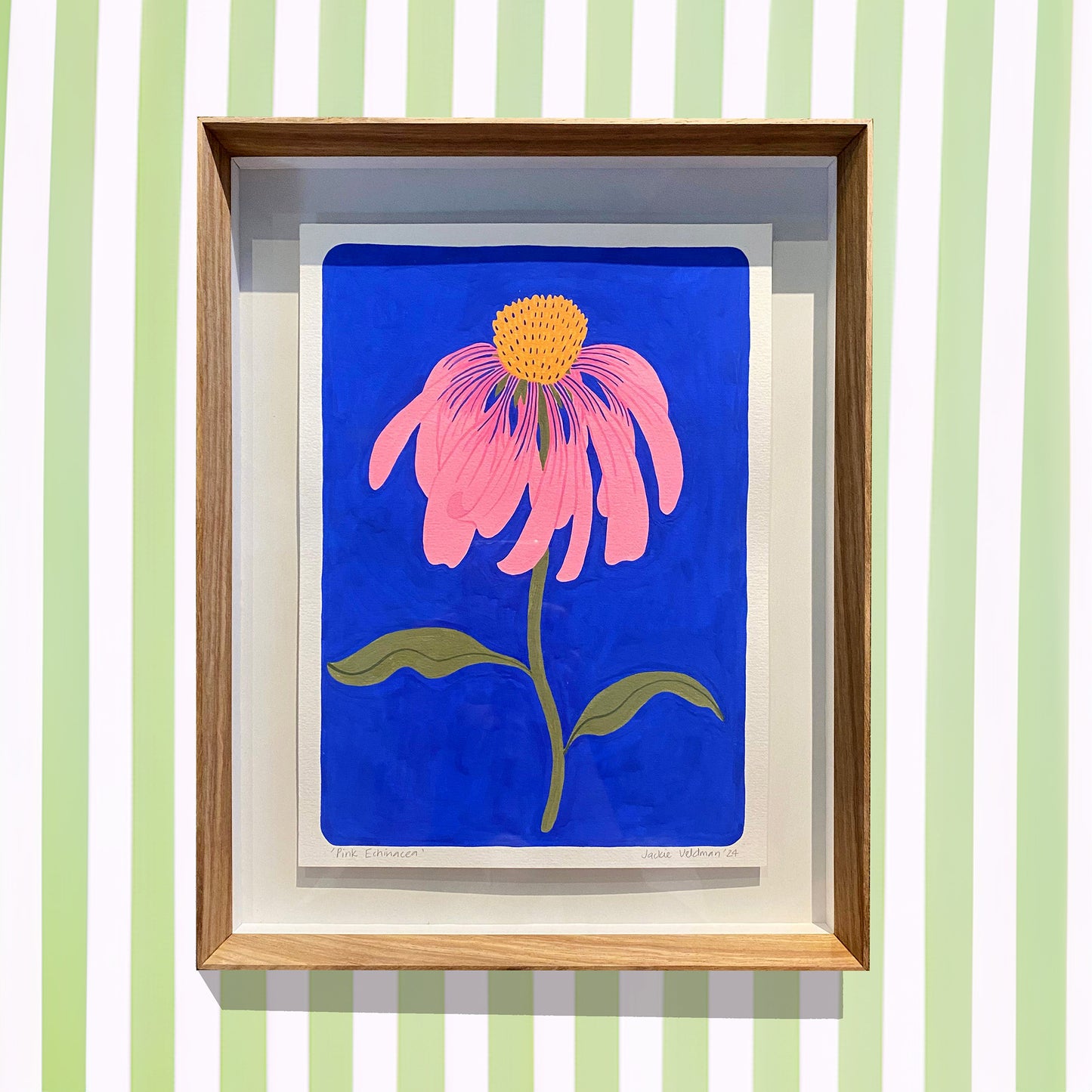 Pink Echinacea (framed)