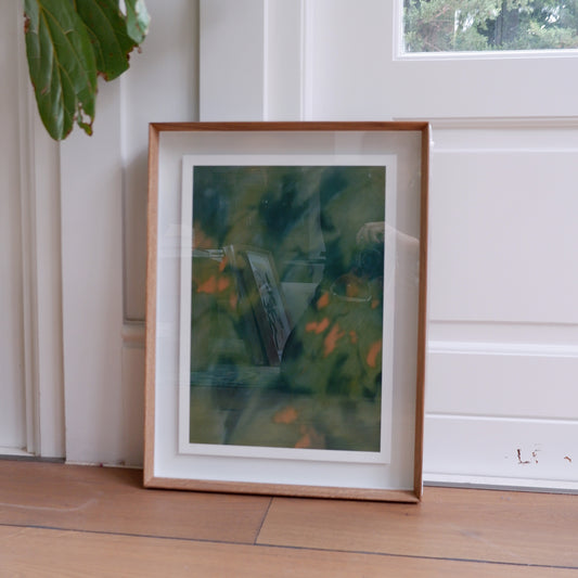 dappled forest (framed)