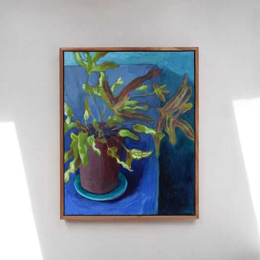 Derek's Fern (Framed)