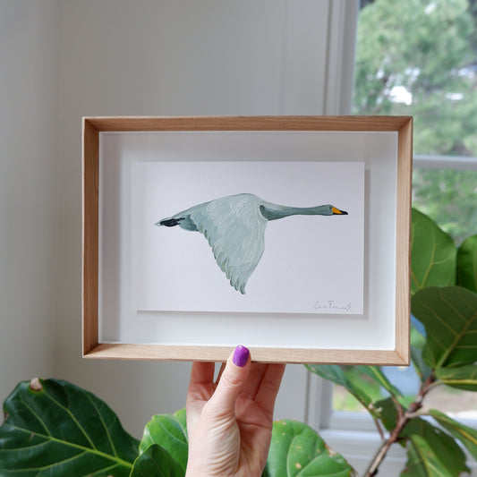 Favicon Swan (framed)