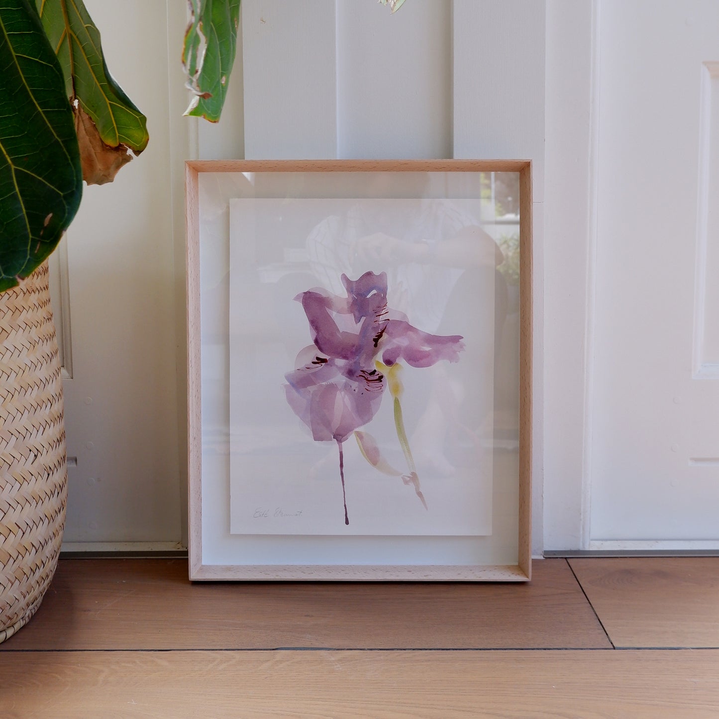 Iris Study I (Framed)