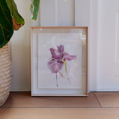 Iris Study I (Framed)