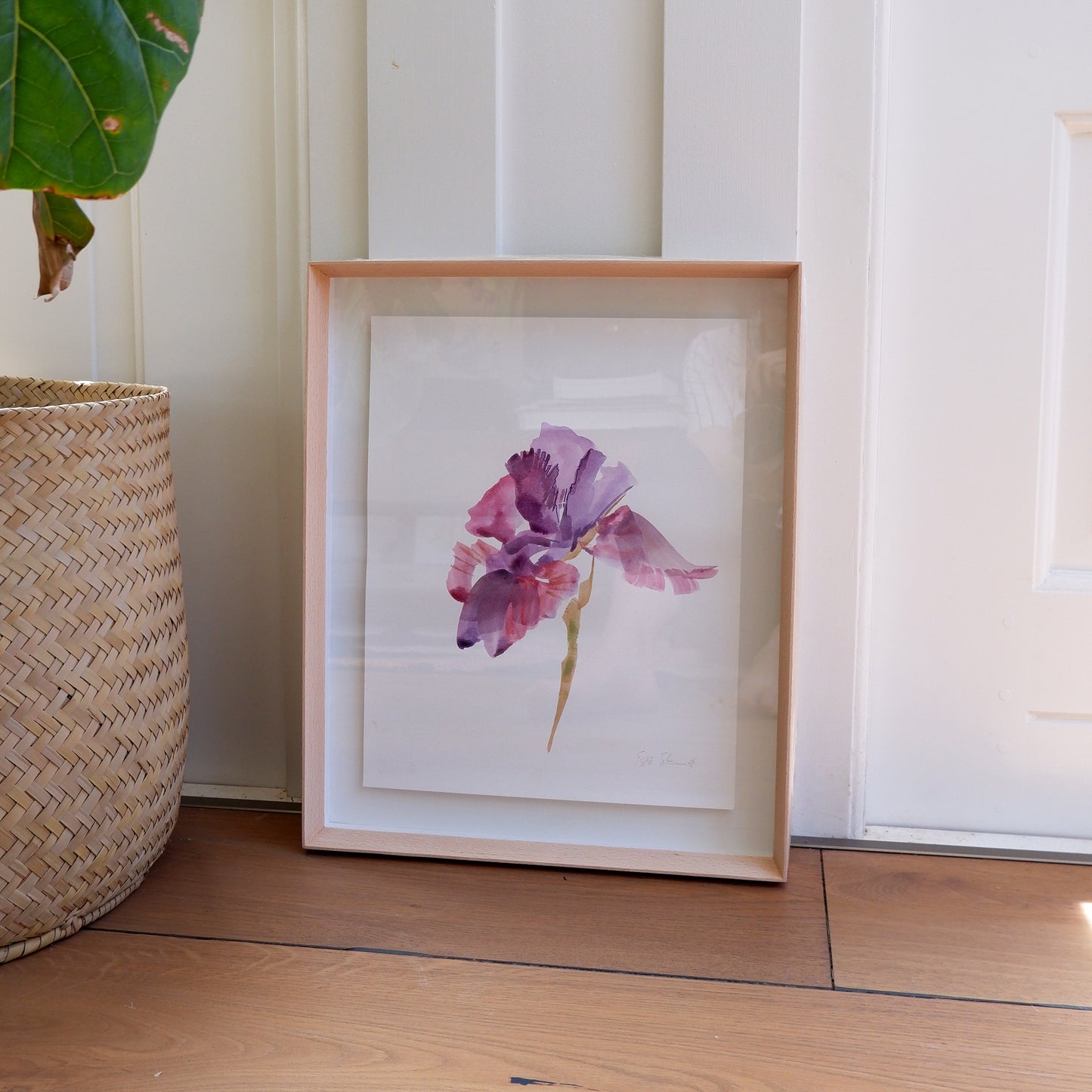 Iris Study II (Framed)