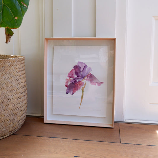 Iris Study II (Framed)