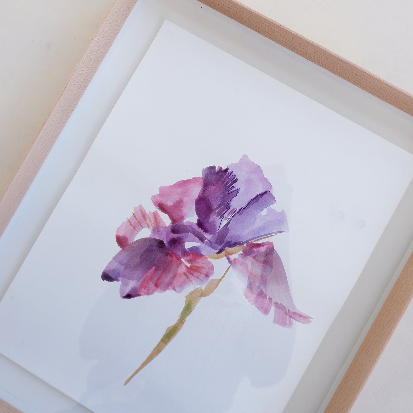Iris Study II (Framed)
