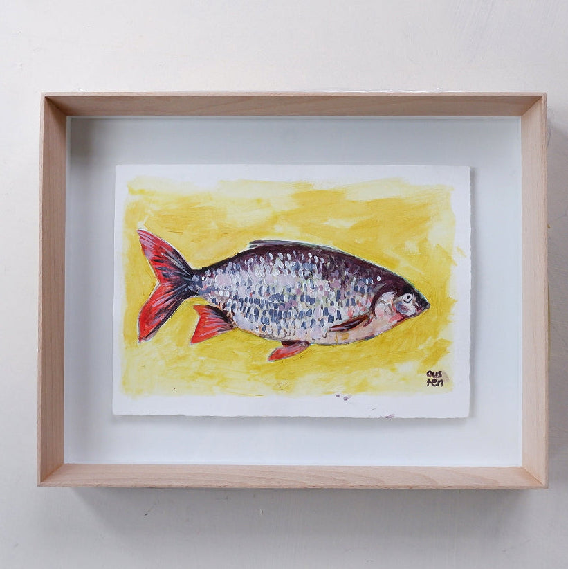 Study of a fish (Framed)