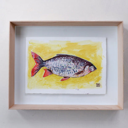 Study of a fish (Framed)
