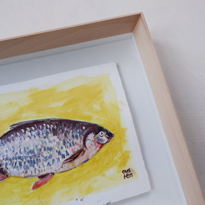 Study of a fish (Framed)