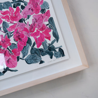 Bougainvillea Garden (framed)
