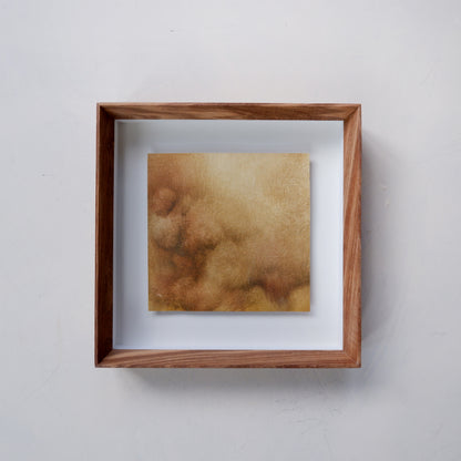 Dust ii (Framed)