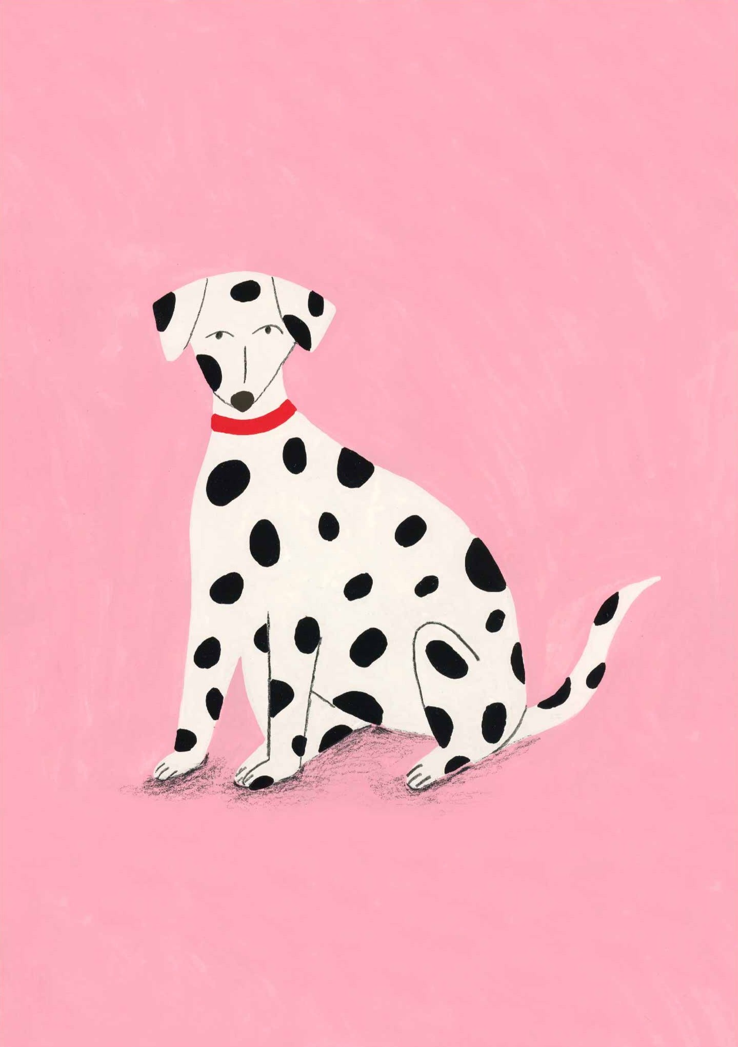 Spotted Dog: Fine art print