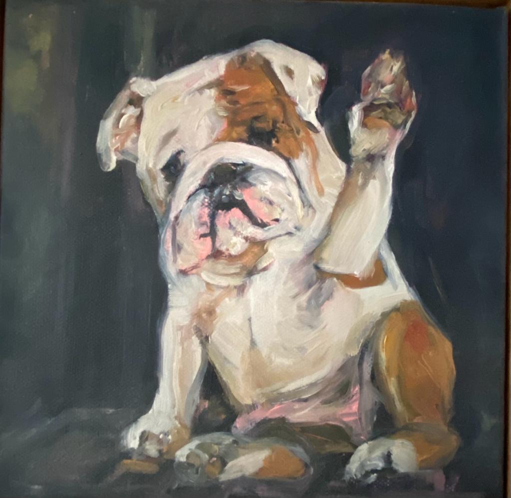 Bulldog (framed)